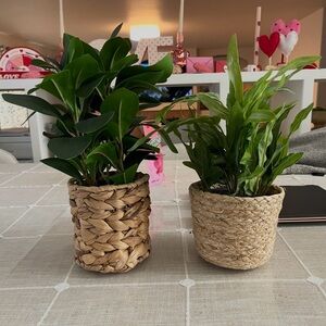 Natural Woven Planter Basket - Tan